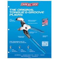 Channel Lock Pliers, 12"