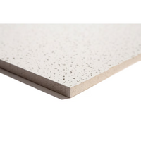 Ceilings 2 ft. x 4 ft. Radar Basic 2310 Lay-in Ceiling Tile (Sold by Case - Pack of 8)